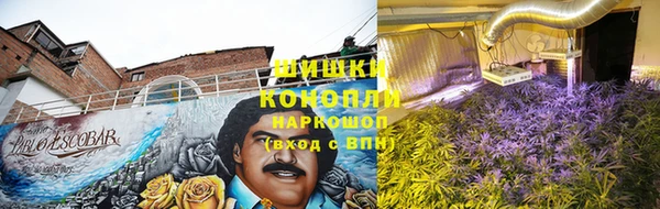 прущие грибы Алексин