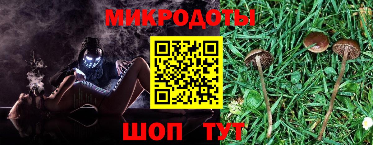 Псилоцибиновые грибы Cubensis  Вход с VPN  Галлюциногенные грибы Psilocybe  где найти   Красногорск 